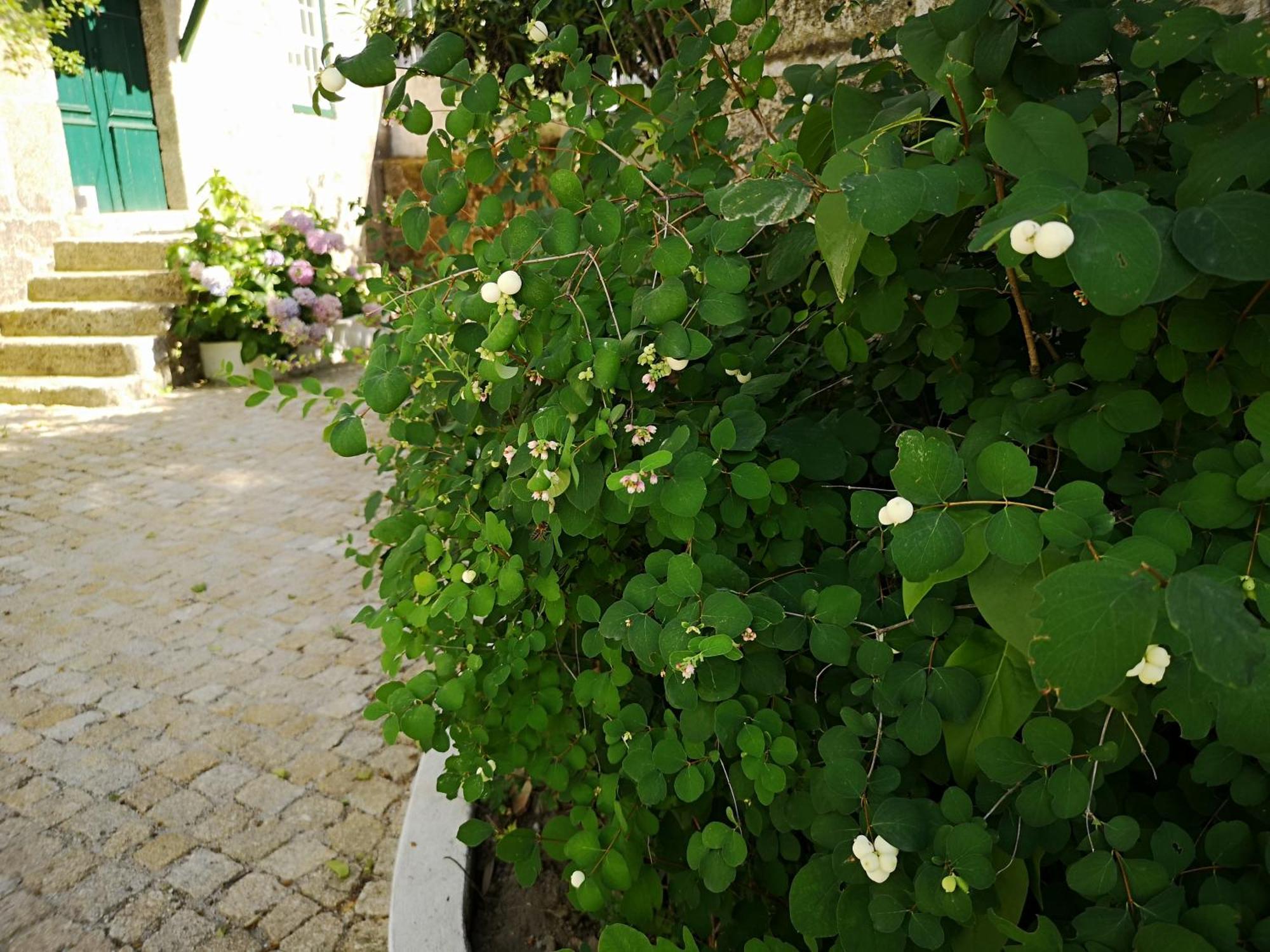 Refugio De Calheiros Covilhã