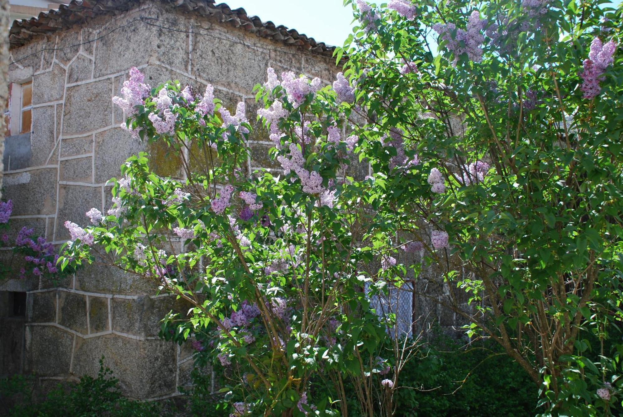 Refugio De Calheiros