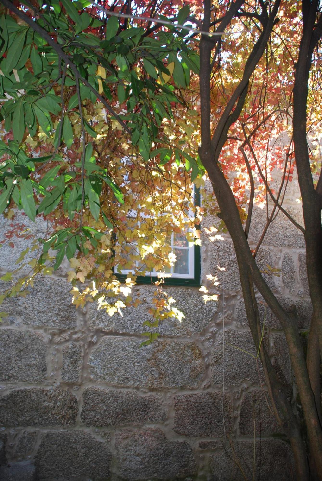 Refugio De Calheiros